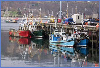 Boats in Ullapool harbour