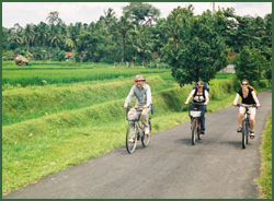 Cycling amongst paddies